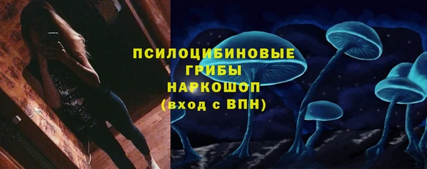 круглые Аркадак